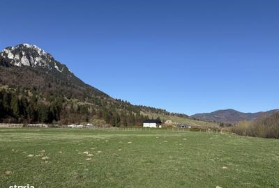 Spațiu comercial, în Plaiul Foii - 12