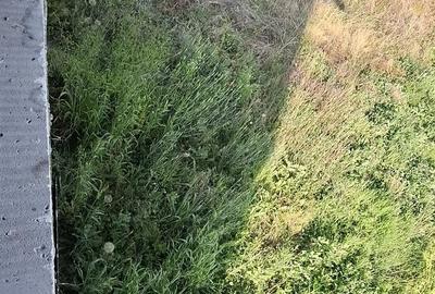 Casă cu 6 camere cu Teren 1200 Mp în Mărăcineanu - 3