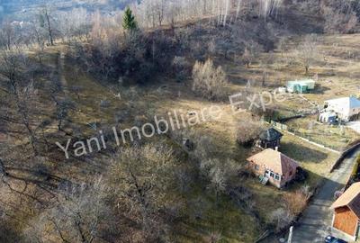 Teren de vanzare in comuna Cicane?ti, sat Cicane?ti, Jude? Arge?. - 6