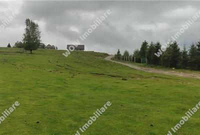 De vanzare teren intravilan 673 mp in Paltinis - 5