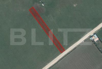 Teren de 1961 mp, în Bartolomeu - 6