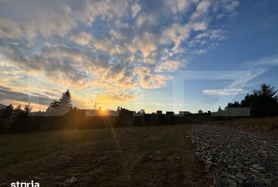 Teren de 5000 mp, în Tiha Bârgăului - 7