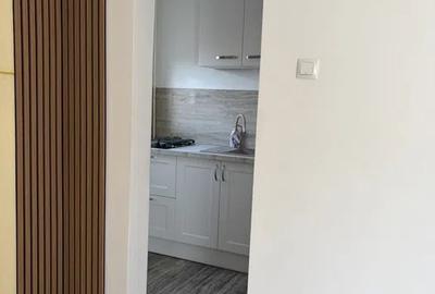 Grasoniera moderna in Marasti - 2