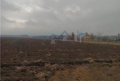 Teren de 8503 mp, în Aroneanu - 1