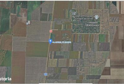 Teren de 20000 mp, în Dragalina - 3