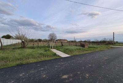 Spațiu comercial, în Cujmir - 1