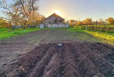 Vand casa la alb. - 3