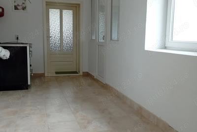 Casă cu 2 camere cu Teren 2500 Mp în Doclin - 3