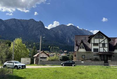 Teren intravilan Poiana Tapului. Tripla deschidere. Vedere l - 13