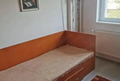 Apartament 3 camere,centrala proprie,Tineretului Pet Friendly - 4