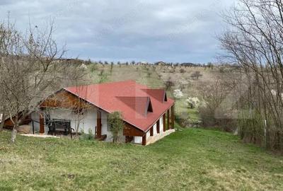 Casa deosebita cu 5 dormitoare, 115 mp, teren 2300 mp, zona Schit - 2