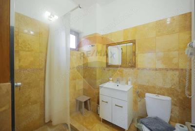 Oportunitate de investi?ie, Pensiunea Vila de la Luga?, Oradea - 6