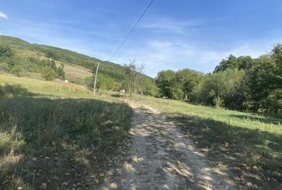 Casa de vanzare+teren - 5