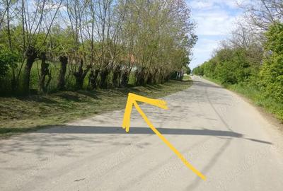Teren de 1895 mp, în Belciug - 7
