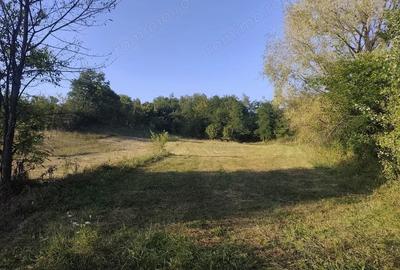 Teren de 2631 mp, în Malu Mierii - 9