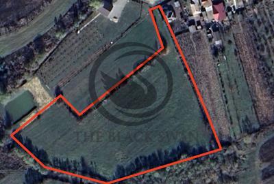 Teren Construcții intravilan de 11000 mp, în Ghirdoveni - 1