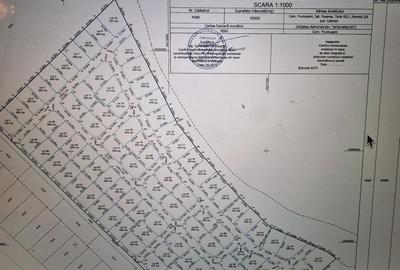 Spre vanzare teren intravilan cu utilități JUD Calarasi,  sat Pasarea - 2