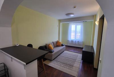 Apartament cu 2 camere semidecomandat în Bucium - 2