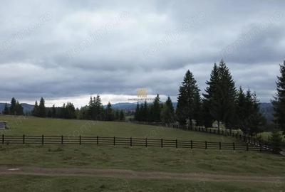 Teren 2804 mp, la munte! In Bucovina Fundu Moldovei! - 12