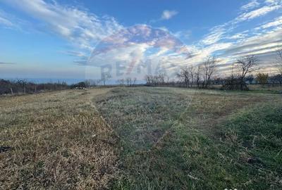 Teren de 2636 mp, în Pădureni (Jariștea) - 2