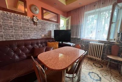 Apartament cu 2 camere semidecomandat în Gojdu - 9