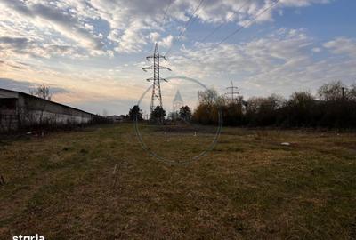 Spațiu comercial, în Șieu - 5