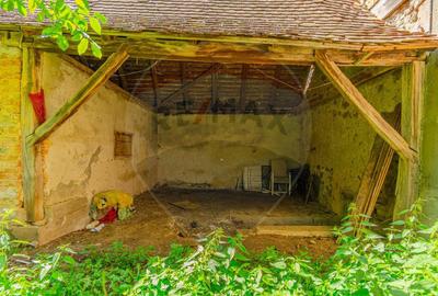 Casa saseasca cu Poveste/ Bogata Olteana/ Hoghiz - 16