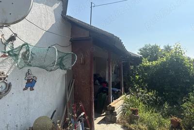 Vand casa in sat patlageanca jud tulcea - 2