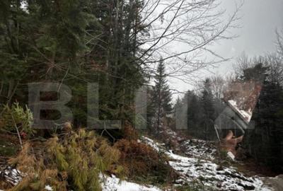 Teren unic, exclusivist 4000 mp, in inima muntilor, Sinaia - 8