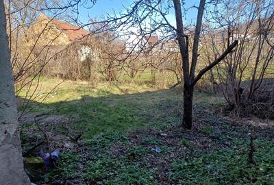 Casă cu 3 camere cu Teren 60 Mp în Central - 5