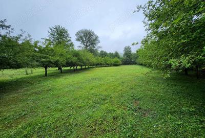 Casă cu 10 camere cu Teren 26417 Mp în Vălenii de Munte - 12