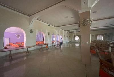 Teren intravilan de 30000 mp, în Episcopia Bihorului - 4