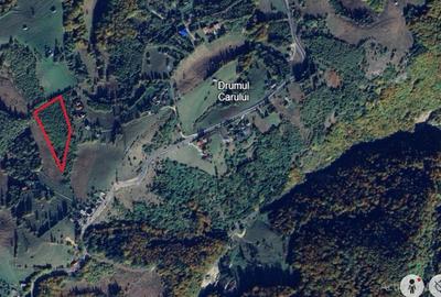 Teren extravilan de 3750 mp, în Moieciu de Jos - 2