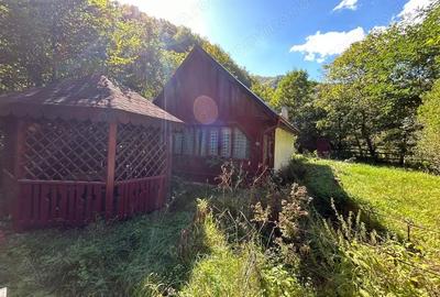 Casă cu Teren 358 Mp în Valea Mănăstirii - 8