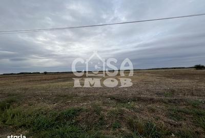 Teren de 1100 mp, în Mogoșani - 1