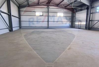 Hale noi de inchiriat Domnesti - putere instalata pana la 600kva - 12