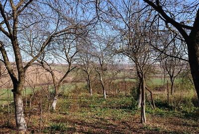 Vand teren in Santelec - 4