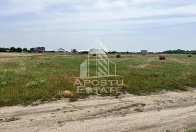 Teren intravilan pentru hala 1518 Remetea Mare in apropiere de Bega