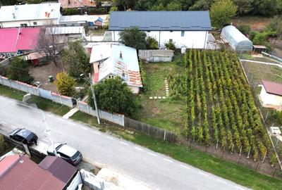 Teren de vanzare 1000mp in Stefanestii de Jos, la sosea si cu utilitati - 4