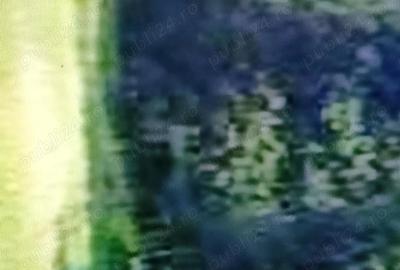 Teren de 10000 mp, în Vulpeni - 8