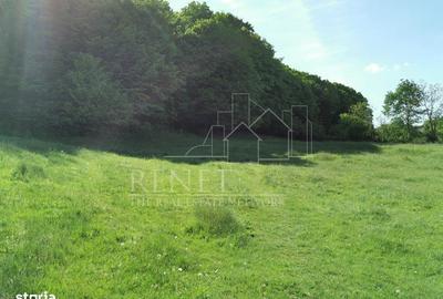 Spațiu comercial, în Bascov - 3