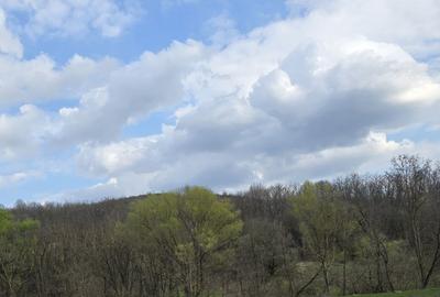 Casă cu 3 camere în Motoșeni - 3