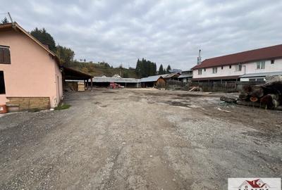 Teren Construcții intravilan de 4439 mp, în Bistra - 3