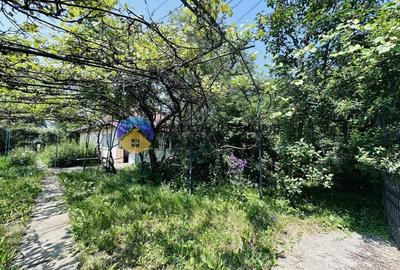 Casa traditionala Bodesti - 6