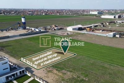 Teren intravilan de 700 mp, în Vladimirescu - 2