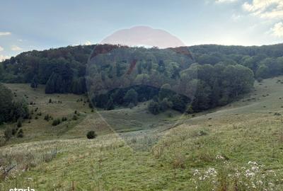 Teren de 2050 mp, în Recea - 3