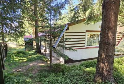 Casa de vacanta, 3 camere, teren 838 mp, 110 mp, Marisel - 7