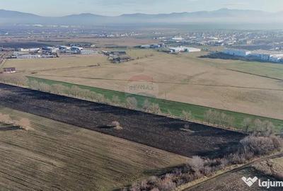 Teren de 15482 mp, în Hărman - 3