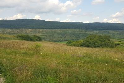 Teren Construcții intravilan de 1000 mp, în Rădaia - 3