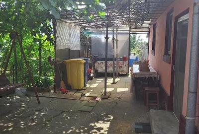 Casa parter , Bariera Valcii , 816 mp teren - 18